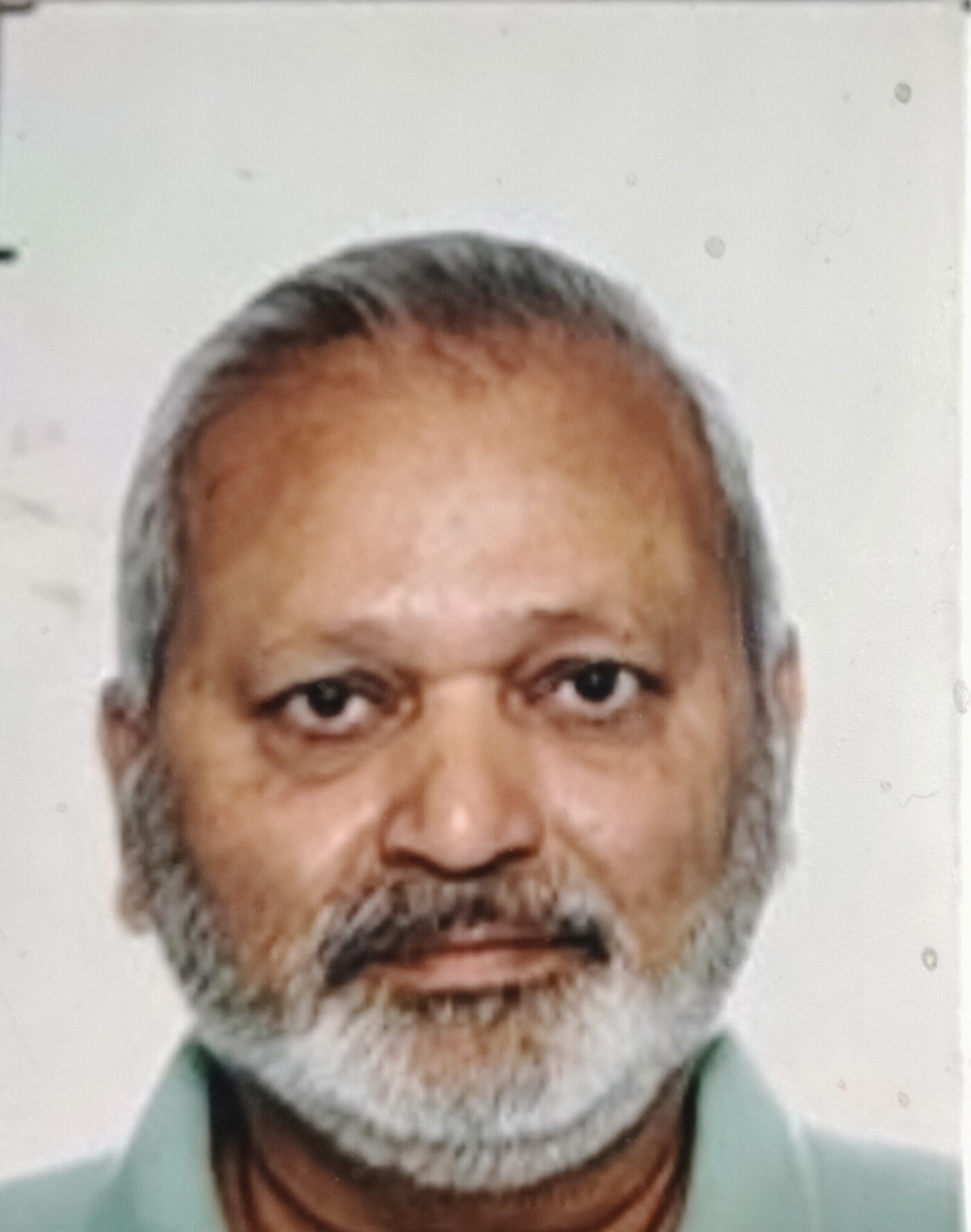 Mitesh Avinashbhai Pachchigar